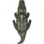 Jouet gonflable - BESTWAY - Crocodile - Vert - PVC - 184x78x38 cm roheline