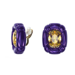 Swarovski Dulcis K&otilde;rvar&otilde;ngad Naiste k&otilde;rvar&otilde;ngad 5613729 Box