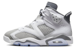 Air Jordan 6 Retro 'Cool Grey' CT8529-100 42.5 gray