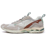 Mizuno Wave Rider 10 Premium H&otilde;bedane Pilvevalge Liiv Meeste Tossud Kreemjas D1GA242601 36.5