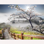 T&auml;is&uuml;mmargune puur Teemantmaaling Puulilled Maastikud Mosaiik P&auml;ike maastik Loodus Rhinestone komplektid 20X30CM