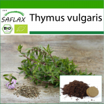 SAFLAX - Orgaaniline - T&uuml;&uuml;mian - 800 seemet - Potisubstraadiga paremaks kasvatamiseks - Thymus vulgaris