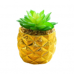 Kauakestvad kunstlikud potitaimed Peene tekstuuriga Suurep&auml;rased v&otilde;ltsitud sukulentide simulatsioonikaunistused B