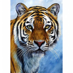 DIY 5D teemantmaal T&auml;is&uuml;mmargune tiigripilt Rhinestone DIY Teemanttikandid Ristpistes seinakunst Kingitus Kodukaunistus Full Round 20x30CM