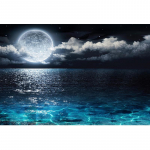 5D DIY Teemantmaaling Kuu ja mere teemanttikandid T&auml;ismosaiigikomplektid Ristpistes Kodukaunistus K&auml;sitsi valmistatud kingitused Round 20x30cm