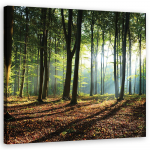 L&otilde;uenditr&uuml;kk Morining in green forest 30x30 roheline