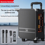 Newman N518 8-tollise kaasaskantav Bluetooth-k&otilde;lar ratastega ja kahe mikrofoniga CN-pistikuga (adapter kaasas)