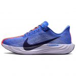 Nike Pegasus Plus Mugavad Jooksukingad Naiste toss Sinine FQ7261-503 35.5