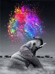 Diamont Painting Animal Teemanttikandite komplekt Ristpistes Teemantpunktide maalimise mosaiik 15*20cm