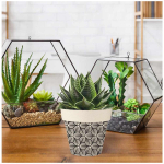 Les Tr&eacute;sors De Lily [A1630] - bambusest istutusmasin 'Boho' must beež - 14x12 cm must