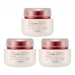 The Face Shop granaat&otilde;una ja kollageeni vol&uuml;&uuml;mi t&otilde;stev kreem 100 ml (3 valikut) #3PCS