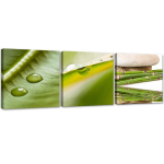 Kolmest pildist koosnev komplekt l&otilde;uenditr&uuml;kk 3 tk Nature Zen Leaf 90x30 roheline