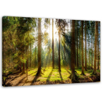 L&otilde;uendiprint Forest Nature Landscape P&auml;ikesekiired 60x40 roheline