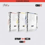 Album Stray Kids Go live standardversioon B