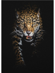 Modern Leopards P&otilde;hjamaade plakatid ja tr&uuml;kised l&otilde;uendimaalid Metsloomade seinakunst Dekoratiivne pilt elutoa sisekujunduseks 21x30cm No Frame