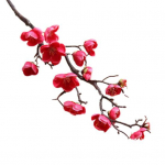 Creative Simulation Plum Blossom Vivid Pehme kodukaunistus heleroosa v&auml;rv