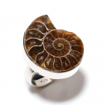 Natural Ammonite Fossil Gemstone 925 Sterling Silver Gift Ring Size 9 v5n66