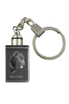Cane Corso, Italian Cane Corso - Crystal key ring with dog photo, illuminated key ring, unique gift by Art-Dog brand