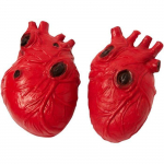 Lot de 2 Faux C&oelig;urs Rouges 15cm Ensanglant&eacute;s en Plastique R&eacute;aliste D&eacute;coration Halloween