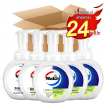 Walch Lime Moisturizing Foam Antibacterial Hand Soap (24 x 225ml)