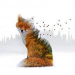 5D teemantmaal T&auml;is&uuml;mmargune Animal Fox Teemanttikandid 20X30CM