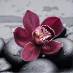 50x50 cm t&auml;iskandiline/&uuml;mmargune puur 5D DIY teemantmaal  Lilleliblika maastik  3D tikandid ristpistes 5D kodukaunistus Full Round 50x50CM punane