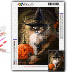 5D DIY Halloweeni k&otilde;rvitsa ja musta kassi ristpistega kivikivid Teemantjoonistus Tikand Mosaiik Kodukaunistus Full Round 20X30CM