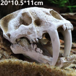 Simuleeritud dinosauruse kolju kolju varjualune vaik kiviktaimla vesi rohi maastik kolju kalapaak akvaariumi dekoratiivsed kaunistused saber-toothed tiger