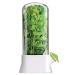 Herb Saver S&auml;ilituskonteiner K&ouml;&ouml;giviljade konserveerimispudel V&auml;rskete &uuml;rtide hoidja k&ouml;&ouml;ki koriandri piparm&uuml;ndi peterselli spargli s&auml;ilitamiseks valge