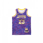 Nike NBA Retro SW Fan Edition LeBron James 23 S&auml;rk 'Lilla' Meeste DA6951-504 S