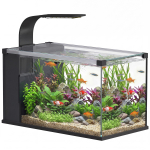 Koduakvaarium 24L karastatud klaasist integreeritud filtri ja LED-valgustusega, 45x25x25,5 cm, Must 45 x 25 x 25.5 cm