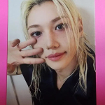 Felix siseneb Stray Kids kontserdi fotokaardile