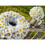 Teemantmaaling Lilled Rhinestone Mosaiic Tikand Daisy Lille Ristpistes Mosaiik Teemant Kodukaunistus Full Round 20x30CM