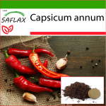 SAFLAX - Chili - De Cayenne - 20 seemet - Potisubstraadiga paremaks kasvatamiseks - Capsicum annum
