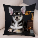 Armas lemmikloomade padjap&uuml;&uuml;r Dekoratiivne armas kutsika chihuahua padjap&uuml;&uuml;r Pehme pl&uuml;&uuml;sist padjap&uuml;&uuml;r autodiivanile koju 45x45cm 40x40cm