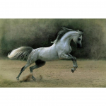 Hobune 5D DIY Teemantmaaling Rhinestone Art Pilt Ristpistekomplekt T&auml;ielik teemanttikandid Mosaiik Loomad Kodukaunistused Kingitused Full Round 20x30CM