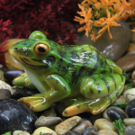 Kuumalt m&uuml;&uuml;dud armsad konnad minivaigud k&auml;sit&ouml;&ouml; haldjaaia miniatuurid terraariumi sukulendid miniatuurid mikromaastiku kaunistused