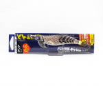 Major Craft Squid Jig Egi uppumislant 3.0 EBF-3.0 010 (7006)