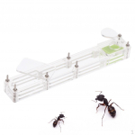 V&auml;ike korpus akr&uuml;&uuml;lpesa s&ouml;&ouml;dafarmi Formicarium Box