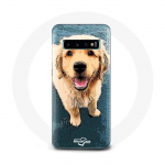 &Uuml;mbris Samsung Galaxy S10 Edge kuldse retriiveri kutsika jaoks