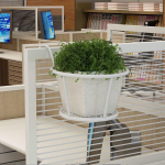 R&otilde;du rauast lilleriiuli kaitsepiire Rippuv lillepoti nagi reelingus rippuv rippuv orhidee roheline aknalaud bonsai alus 1pc valge