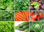 Mahlaparadiisi seemnete komplekt / 9 sorti k&ouml;&ouml;giviljaseemneid / GMO-ta / Mahe