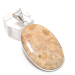 Natural Fossil Coral Gemstone 925 Sterling Silver Jewelry Pendant 1.97 b7q76