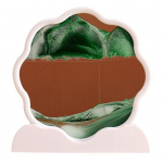 Uudne kiirliivav&auml;rvimine, p&ouml;&ouml;ratav erinevates v&auml;rvides kodukaunistus A punane