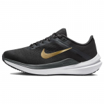 Nike Air Zoom Winflo 10 'Anthracite Gold' Naiste tossud DV4023-005 37.5 must
