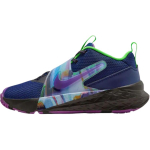 Nike Team Hustle D 12 Low top Children's Basketball Shoes Blue Unisex HV2291-400 38.5 blue