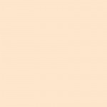 [fwee] Kogu p&auml;eva kattev must cushion SPF 40 PA++ 13g*2 tk 19N