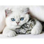 HUACAN Huacani Teemanttikandid Kassid Teemantmaal T&auml;is &uuml;mmargune Loomad Rhinestones Pildid Helmikud Teemantmosaiik Seinakaunistus Full Round 30*40 cm