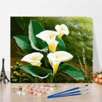 Numbrid &otilde;limaal Kunst l&otilde;uend DIY maal numbrite j&auml;rgi Kodukaunistus Digitaalne &otilde;limaal 40x50cm no frame