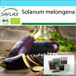 SAFLAX - Kinkekomplekt - Orgaaniline - Baklažaan - Pikk lilla - 20 seemet - Koos kinkekarbi, kaardi, etiketi ja potisubstraadiga - Solanum melongena